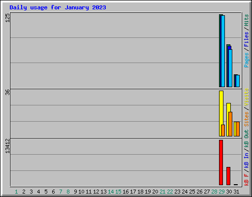 Daily usage for January 2023