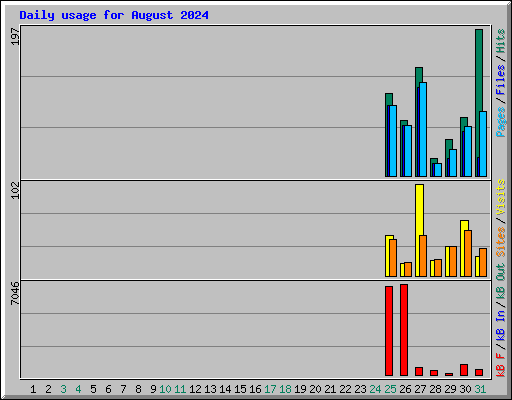 Daily usage for August 2024