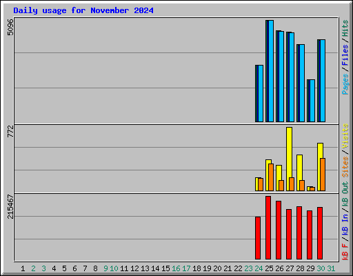 Daily usage for November 2024