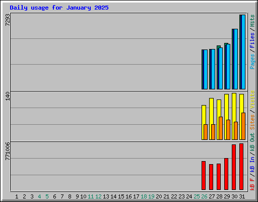 Daily usage for January 2025