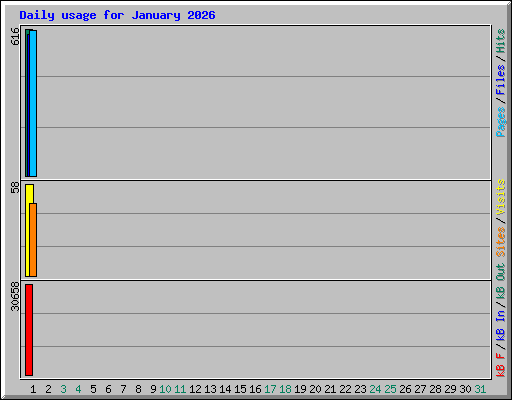 Daily usage for January 2026