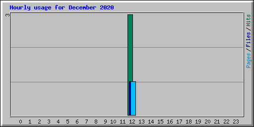 Hourly usage for December 2020