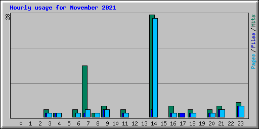 Hourly usage for November 2021