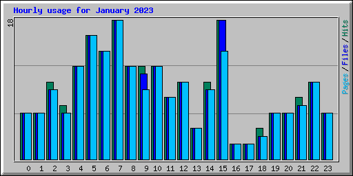 Hourly usage for January 2023