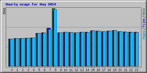 Hourly usage for May 2024