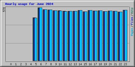 Hourly usage for June 2024