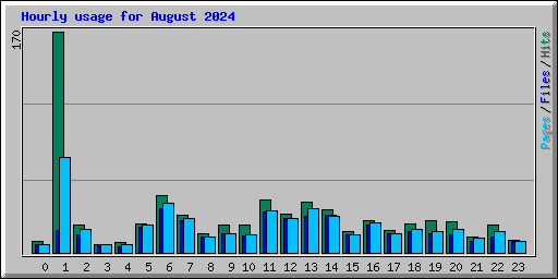 Hourly usage for August 2024