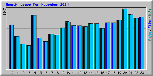 Hourly usage for November 2024