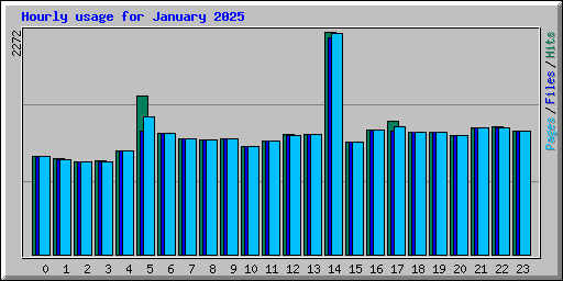 Hourly usage for January 2025