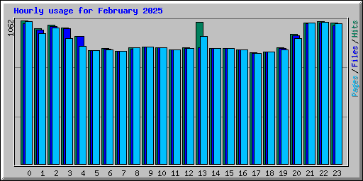 Hourly usage for February 2025