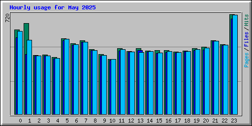 Hourly usage for May 2025