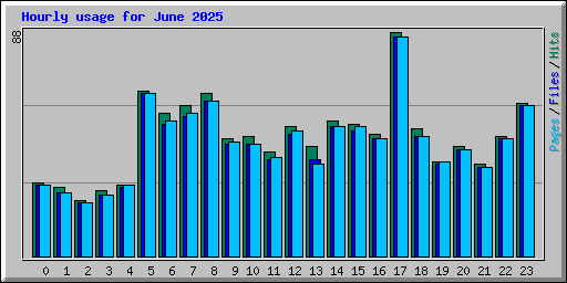 Hourly usage for June 2025