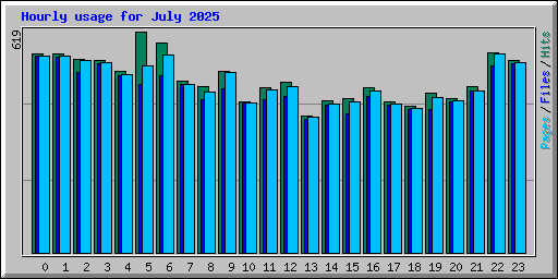 Hourly usage for July 2025