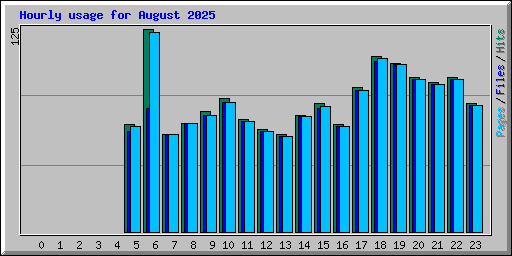 Hourly usage for August 2025