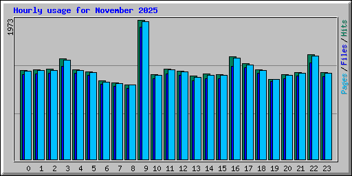 Hourly usage for November 2025