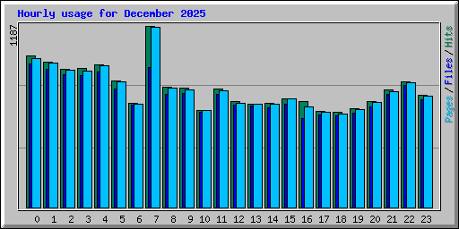 Hourly usage for December 2025