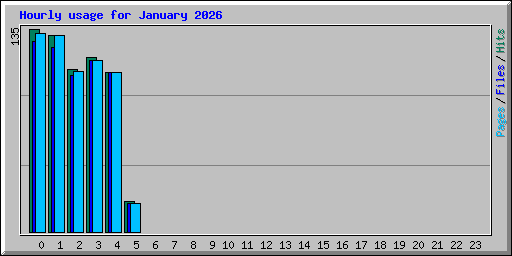Hourly usage for January 2026